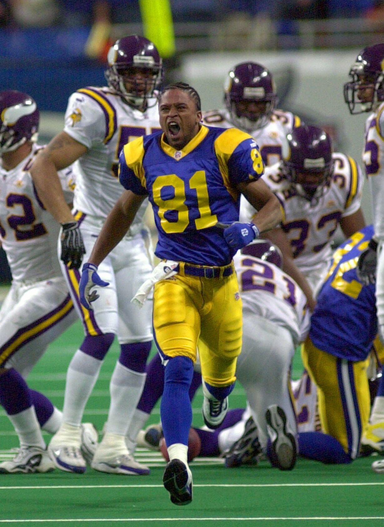 VIKINGS RAMS